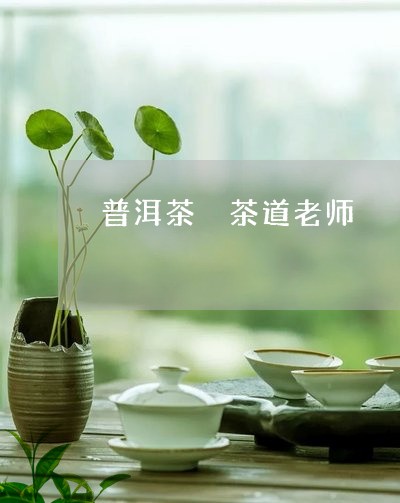 普洱茶 茶道老师/2023041062925